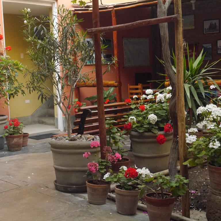 Hostal Tambo Colorado Pisco Exterior photo